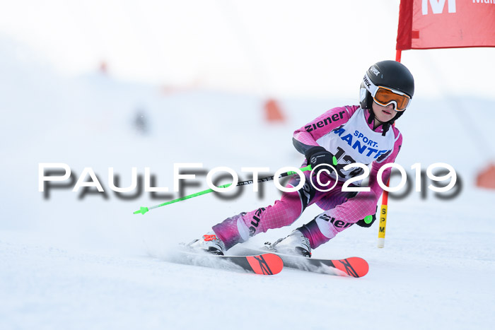 SVM U8, U10, U12, SechzgerPokal 2019