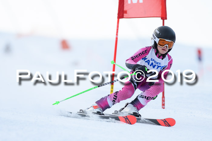 SVM U8, U10, U12, SechzgerPokal 2019