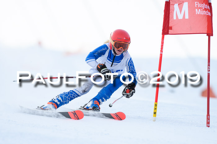 SVM U8, U10, U12, SechzgerPokal 2019