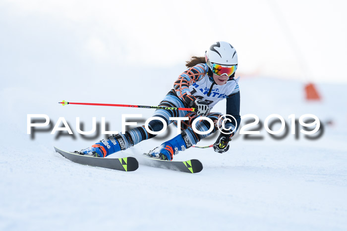 SVM U8, U10, U12, SechzgerPokal 2019
