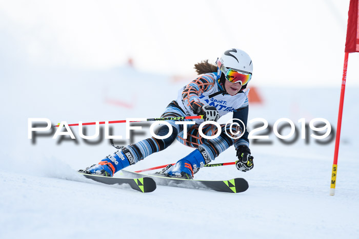 SVM U8, U10, U12, SechzgerPokal 2019
