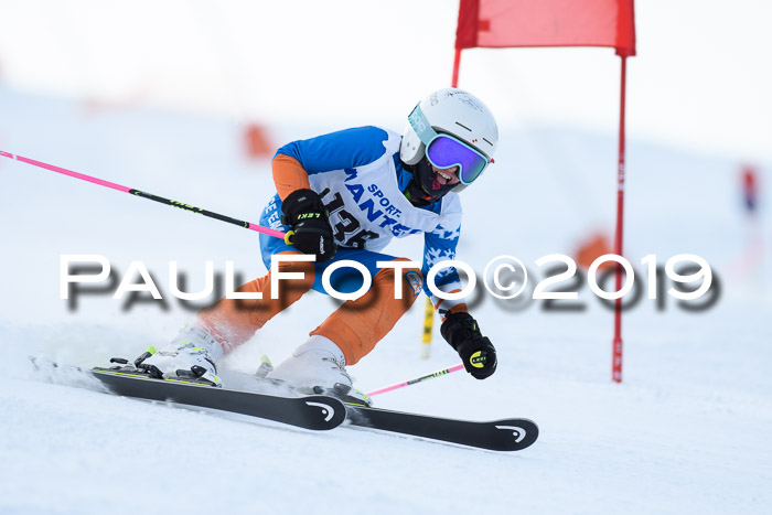 SVM U8, U10, U12, SechzgerPokal 2019