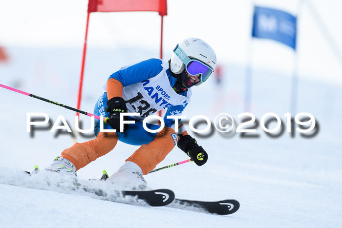 SVM U8, U10, U12, SechzgerPokal 2019