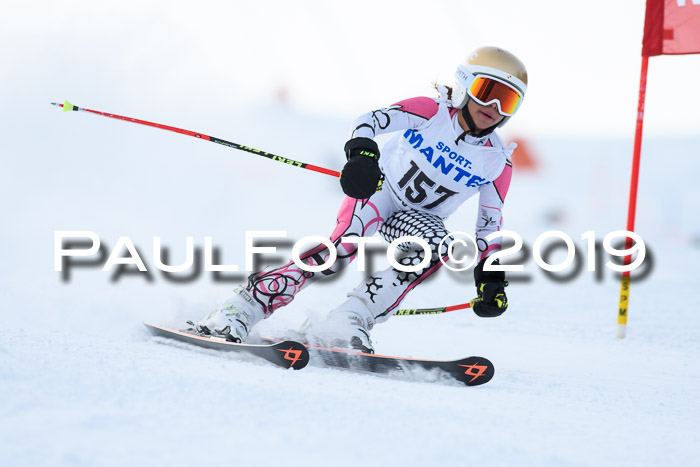 SVM U8, U10, U12, SechzgerPokal 2019