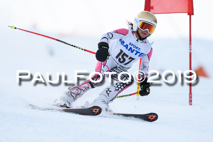 SVM U8, U10, U12, SechzgerPokal 2019