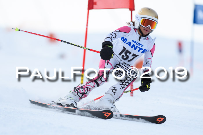 SVM U8, U10, U12, SechzgerPokal 2019