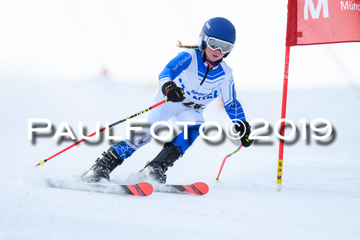 SVM U8, U10, U12, SechzgerPokal 2019