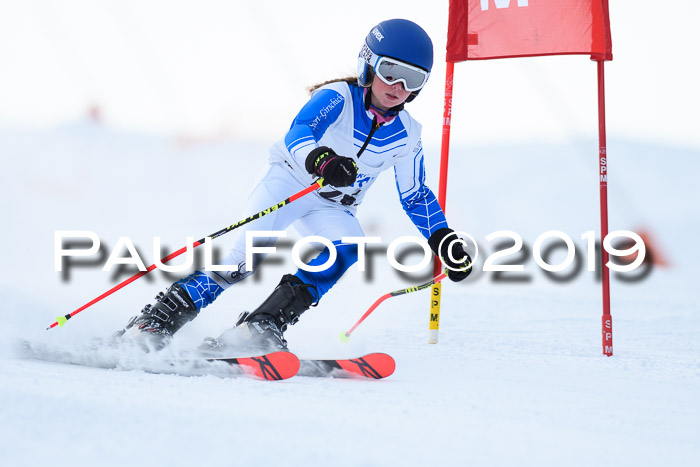 SVM U8, U10, U12, SechzgerPokal 2019