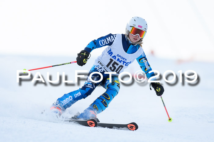 SVM U8, U10, U12, SechzgerPokal 2019