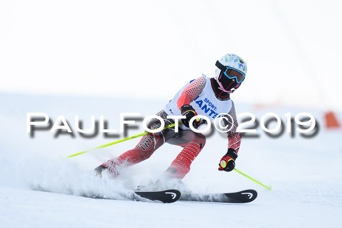 SVM U8, U10, U12, SechzgerPokal 2019