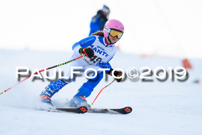SVM U8, U10, U12, SechzgerPokal 2019
