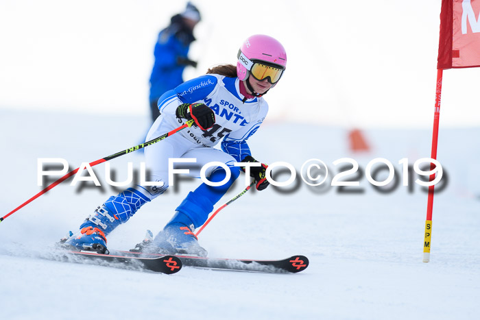 SVM U8, U10, U12, SechzgerPokal 2019