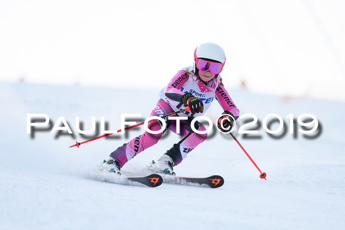SVM U8, U10, U12, SechzgerPokal 2019