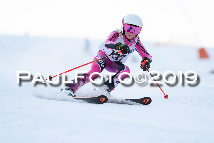 SVM U8, U10, U12, SechzgerPokal 2019