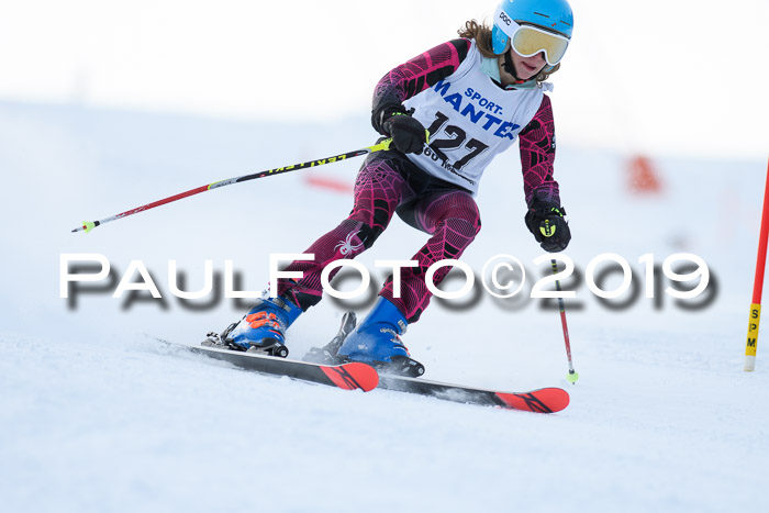 SVM U8, U10, U12, SechzgerPokal 2019
