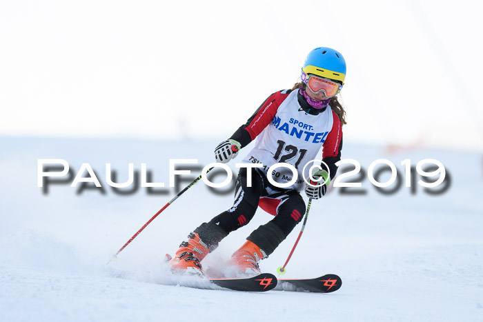 SVM U8, U10, U12, SechzgerPokal 2019