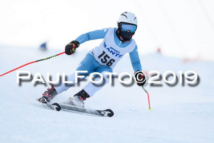 SVM U8, U10, U12, SechzgerPokal 2019