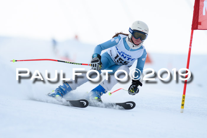 SVM U8, U10, U12, SechzgerPokal 2019