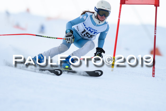 SVM U8, U10, U12, SechzgerPokal 2019