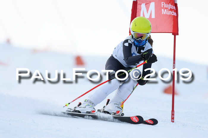 SVM U8, U10, U12, SechzgerPokal 2019