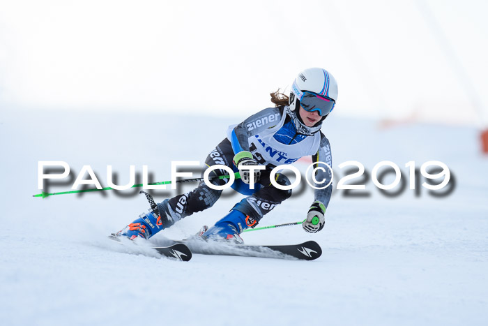 SVM U8, U10, U12, SechzgerPokal 2019