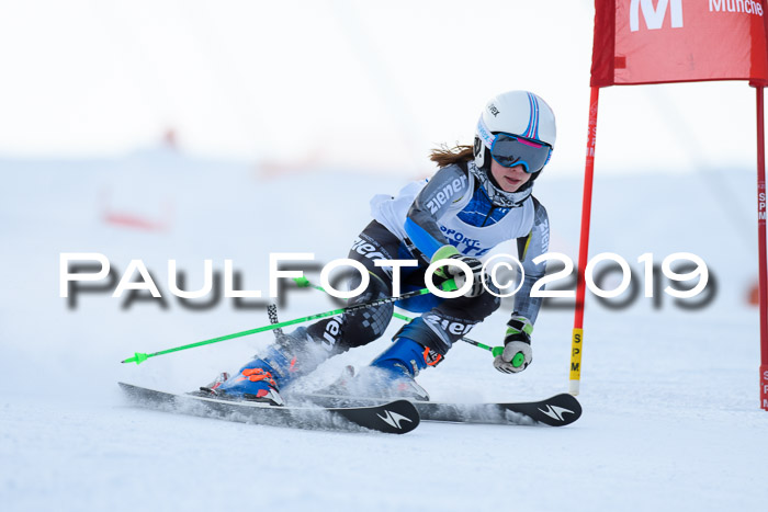 SVM U8, U10, U12, SechzgerPokal 2019