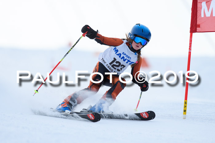 SVM U8, U10, U12, SechzgerPokal 2019