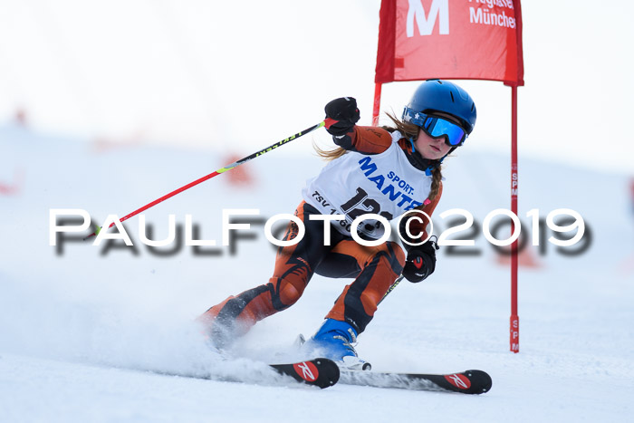 SVM U8, U10, U12, SechzgerPokal 2019