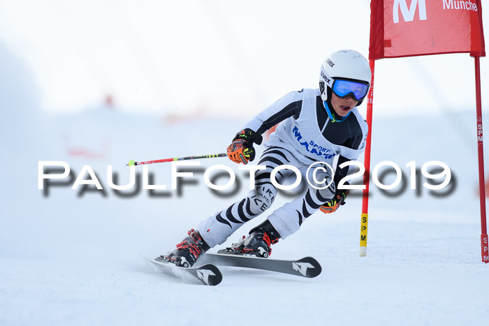 SVM U8, U10, U12, SechzgerPokal 2019