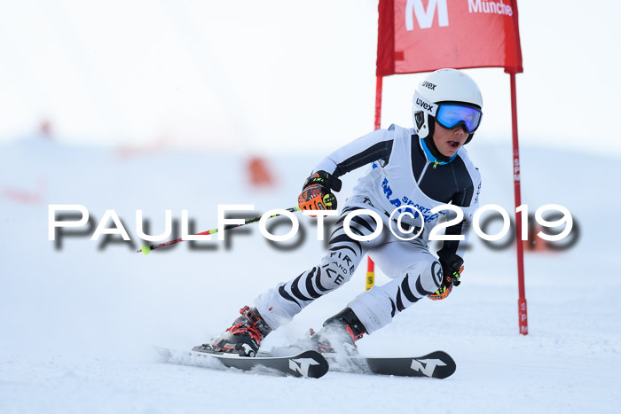 SVM U8, U10, U12, SechzgerPokal 2019