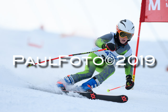 SVM U8, U10, U12, SechzgerPokal 2019