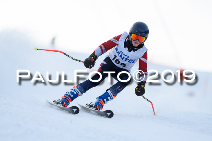 SVM U8, U10, U12, SechzgerPokal 2019