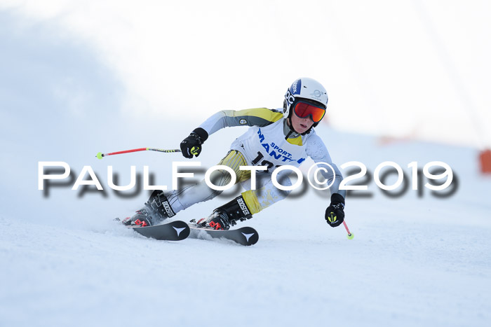 SVM U8, U10, U12, SechzgerPokal 2019