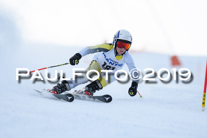 SVM U8, U10, U12, SechzgerPokal 2019