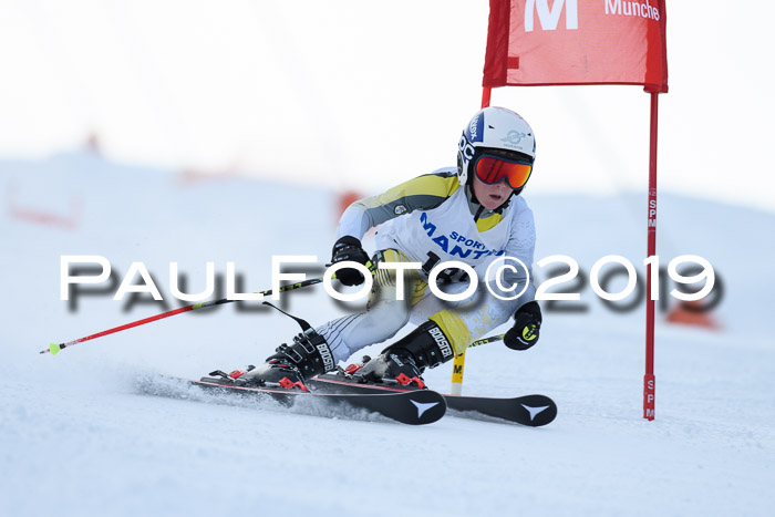SVM U8, U10, U12, SechzgerPokal 2019