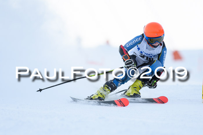 SVM U8, U10, U12, SechzgerPokal 2019