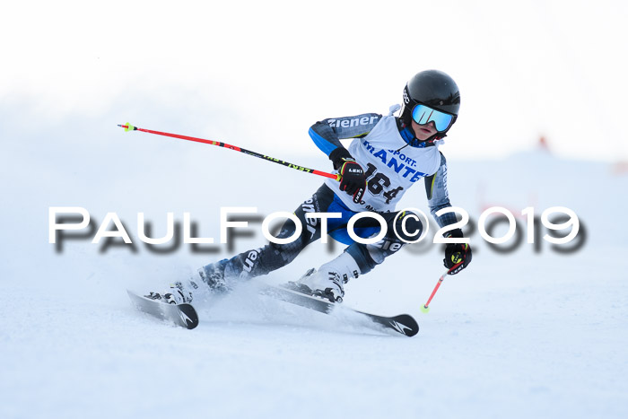 SVM U8, U10, U12, SechzgerPokal 2019