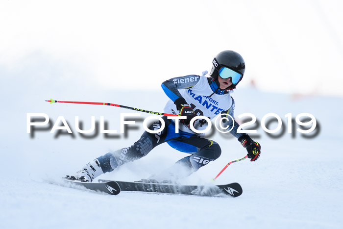 SVM U8, U10, U12, SechzgerPokal 2019