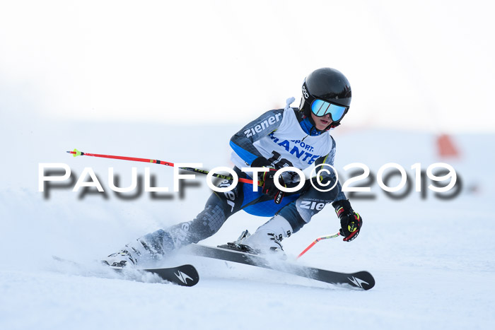 SVM U8, U10, U12, SechzgerPokal 2019