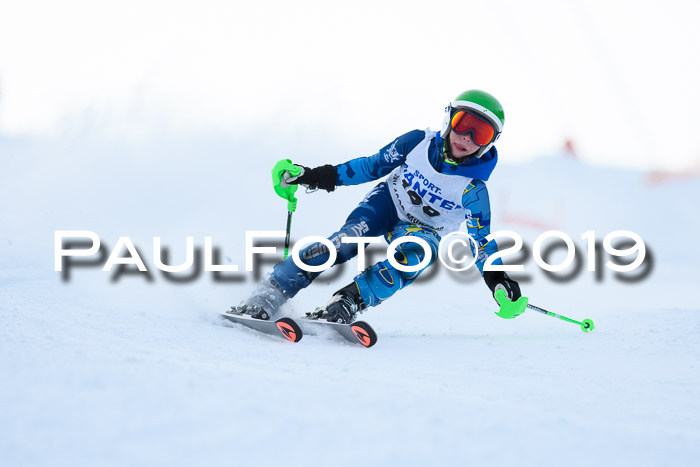 SVM U8, U10, U12, SechzgerPokal 2019