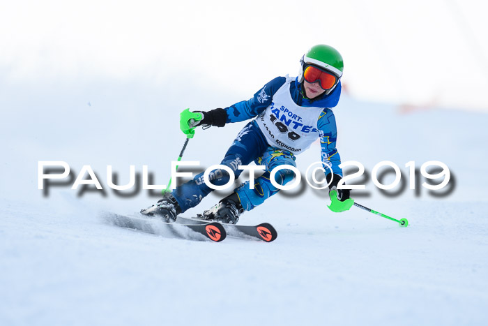 SVM U8, U10, U12, SechzgerPokal 2019