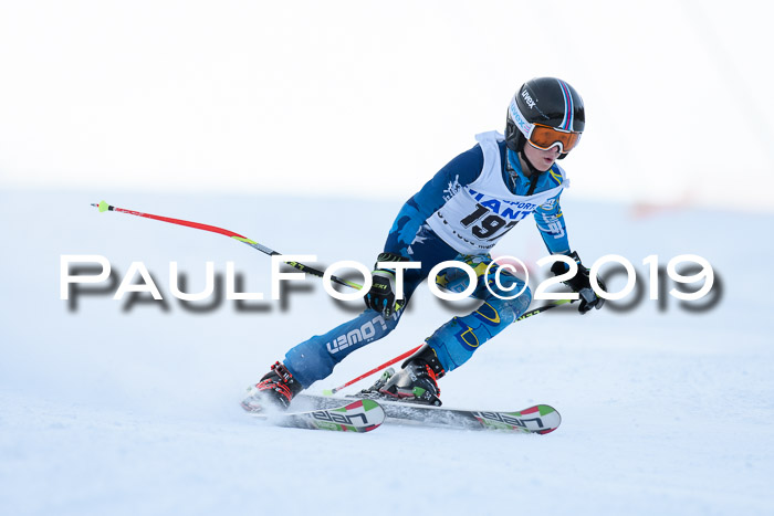 SVM U8, U10, U12, SechzgerPokal 2019