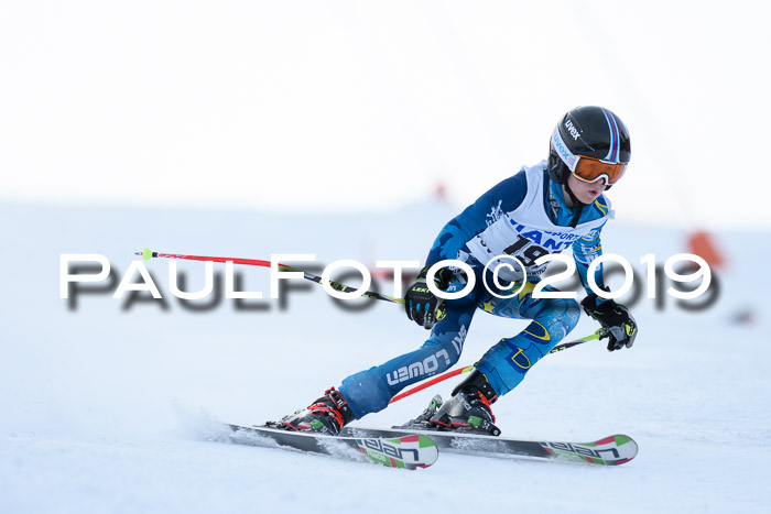 SVM U8, U10, U12, SechzgerPokal 2019