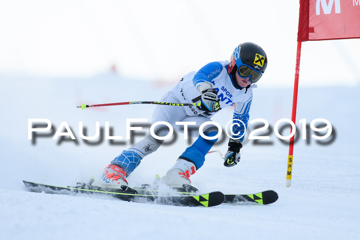 SVM U8, U10, U12, SechzgerPokal 2019