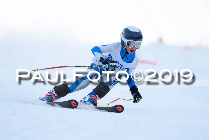 SVM U8, U10, U12, SechzgerPokal 2019