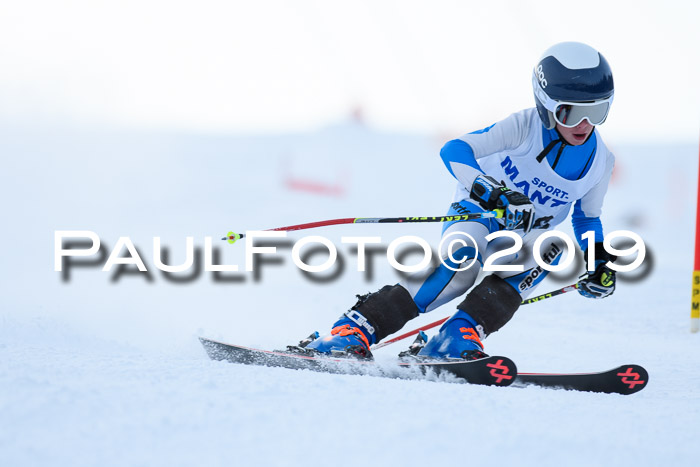 SVM U8, U10, U12, SechzgerPokal 2019