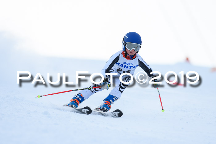 SVM U8, U10, U12, SechzgerPokal 2019