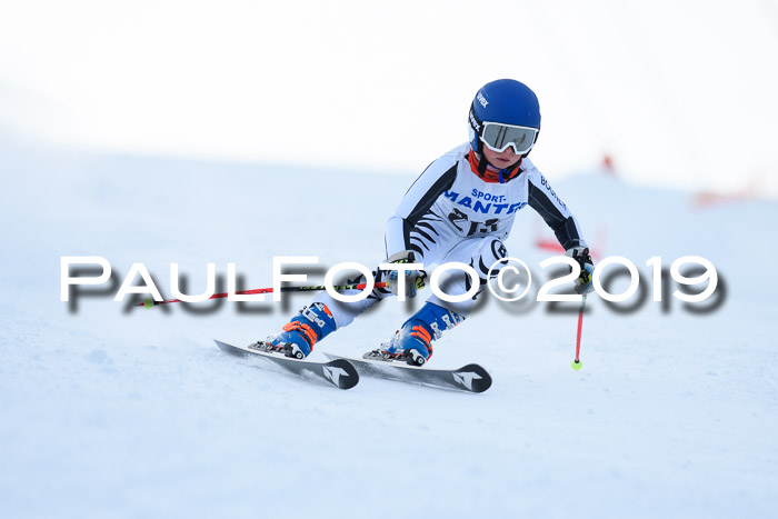 SVM U8, U10, U12, SechzgerPokal 2019