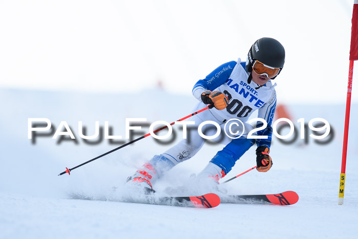 SVM U8, U10, U12, SechzgerPokal 2019