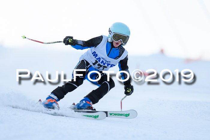 SVM U8, U10, U12, SechzgerPokal 2019